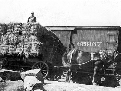 Shipping Hay by Train