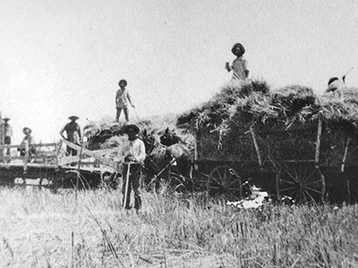 Farmers in Gilbert